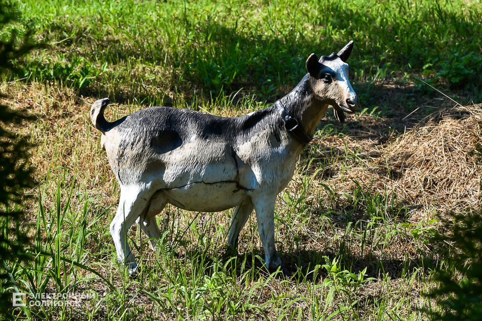 Дом в деревне, благоустройнный двор в Солигорском районе, своими руками