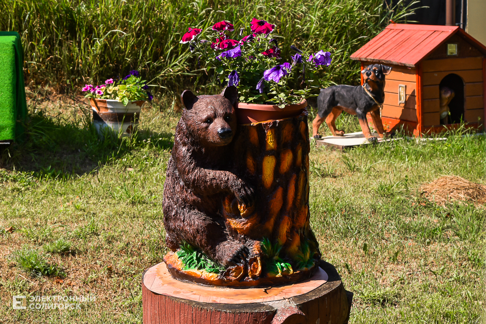 Дом в деревне, благоустройнный двор в Солигорском районе, своими руками