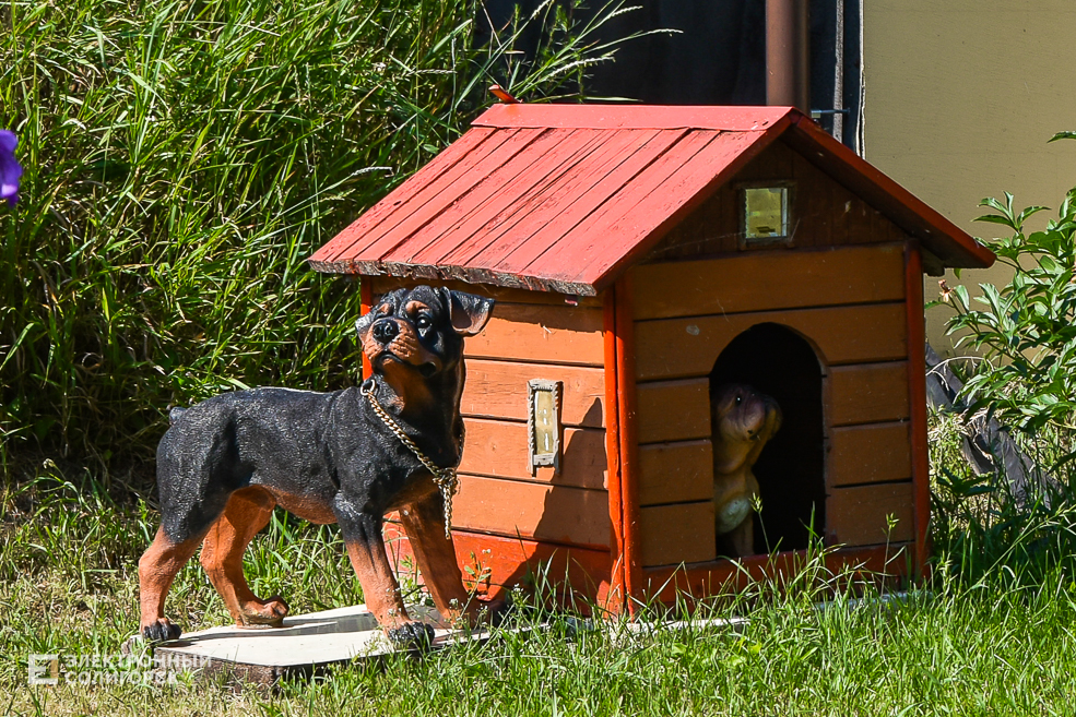 Дом в деревне, благоустройнный двор в Солигорском районе, своими руками