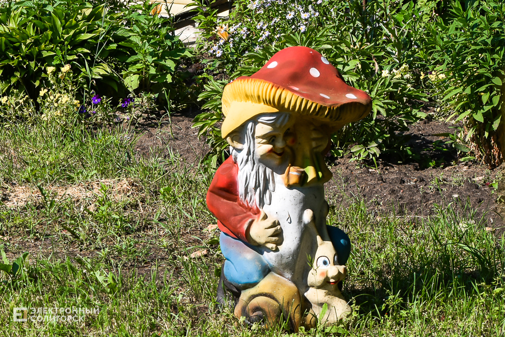 Дом в деревне, благоустройнный двор в Солигорском районе, своими руками