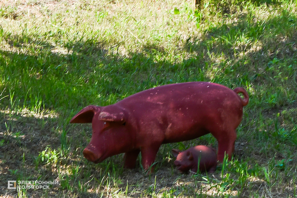 Дом в деревне, благоустройнный двор в Солигорском районе, своими руками