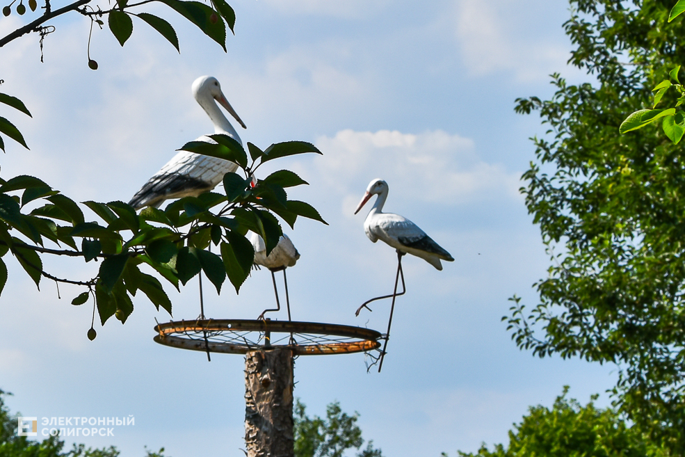 Дом в деревне, благоустройнный двор в Солигорском районе, своими руками