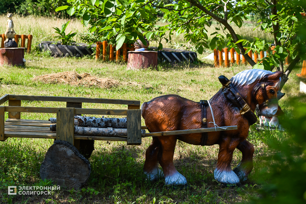 Дом в деревне, благоустройнный двор в Солигорском районе, своими руками