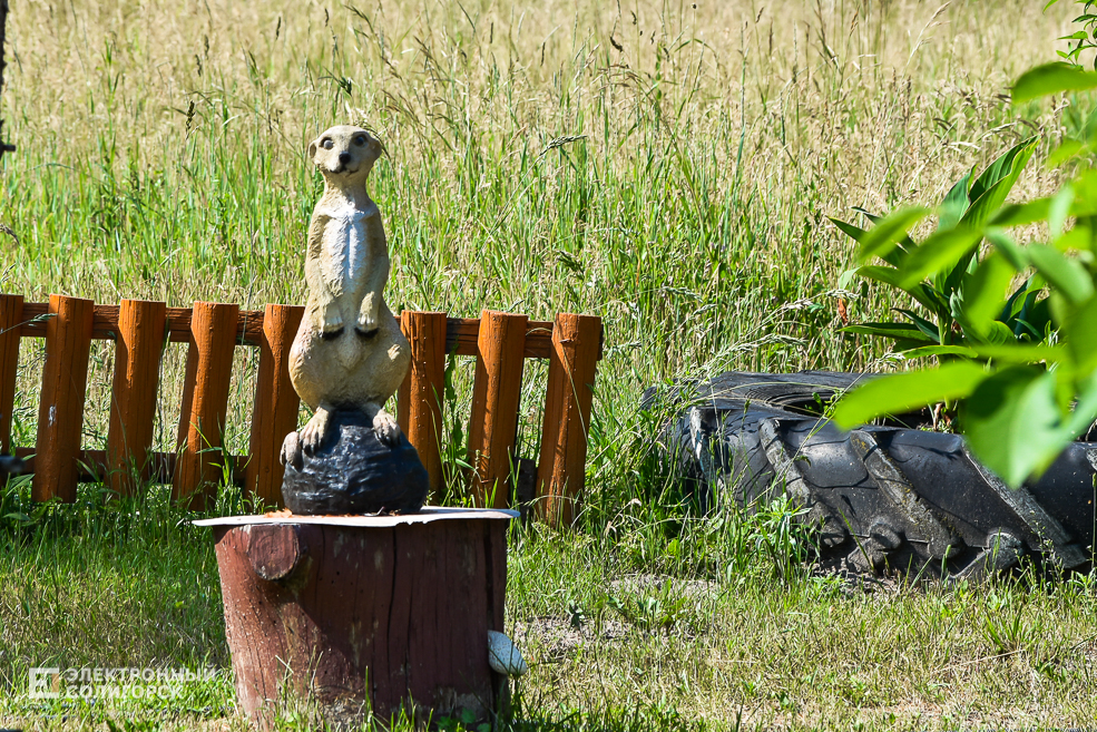 Дом в деревне, благоустройнный двор в Солигорском районе, своими руками