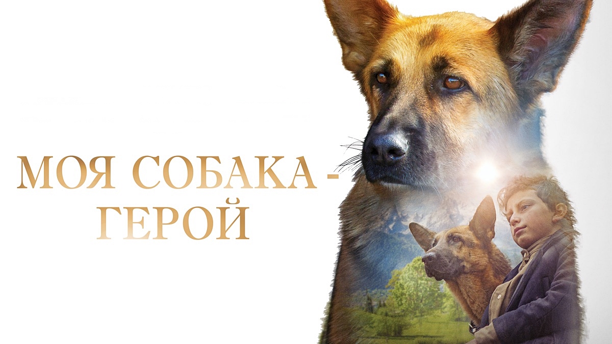 mts фильм про собаку