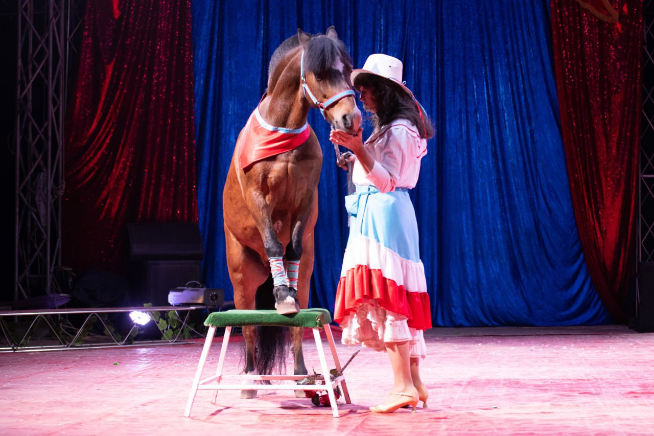 шоу цирк солигорск