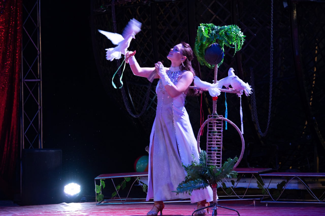 цирк в солигорске