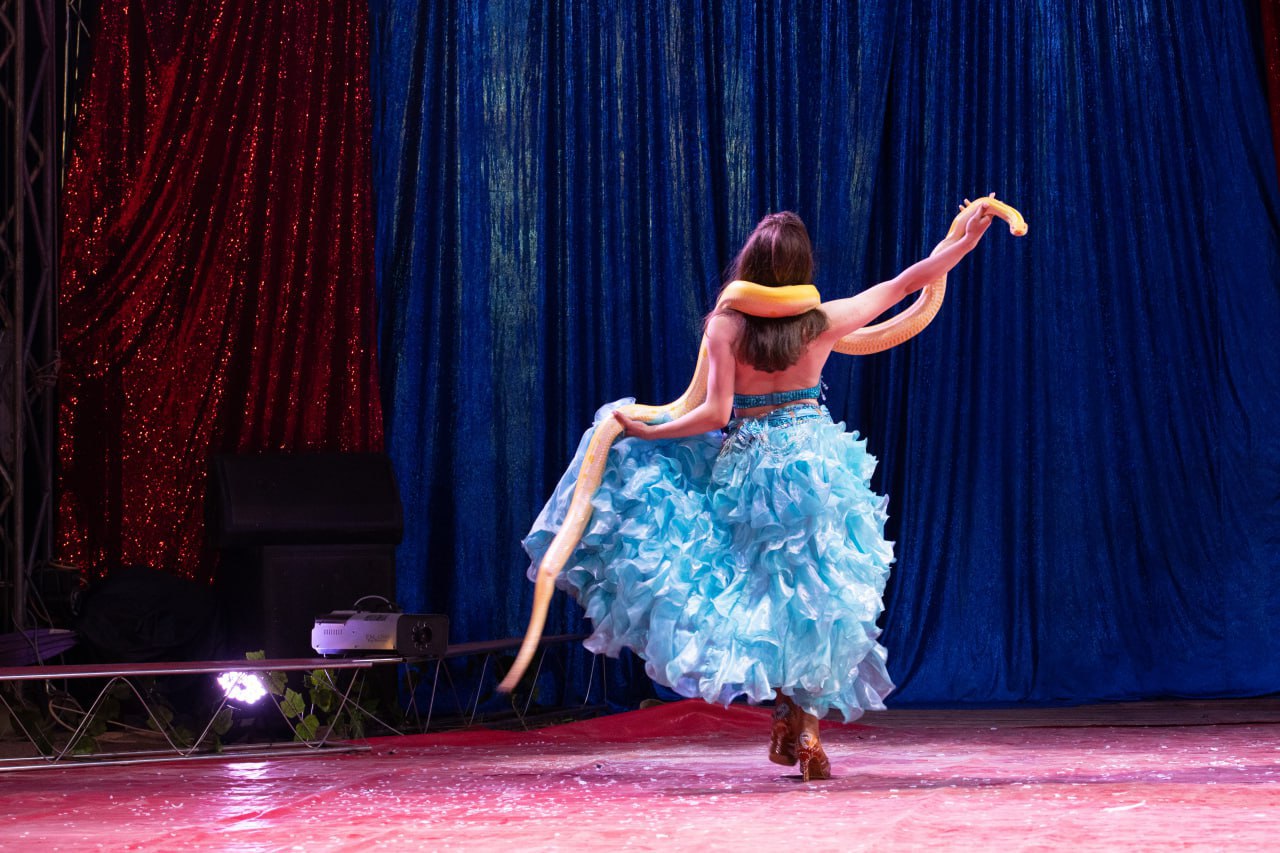 цирковое представление в солигорске