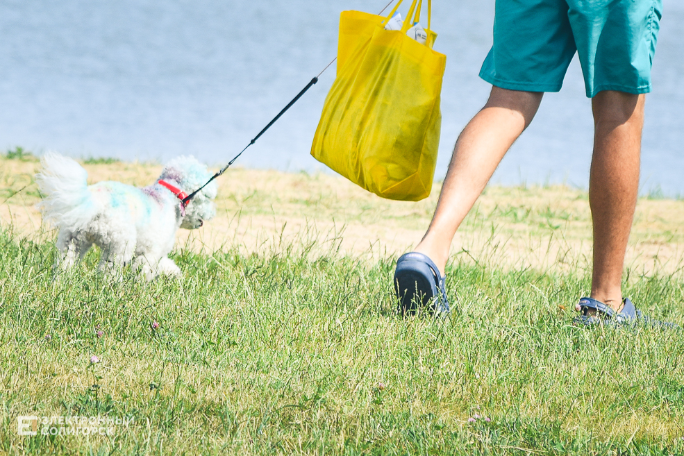 День молодёжи в Солигорске, Детский пляж