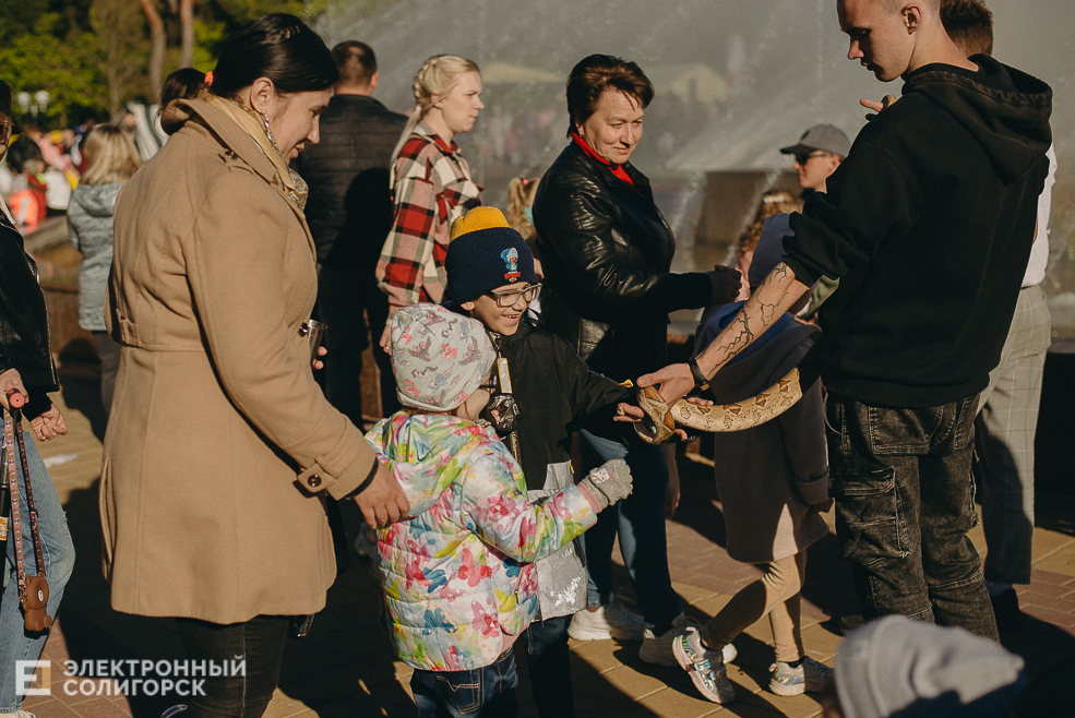 фонтан солигорск