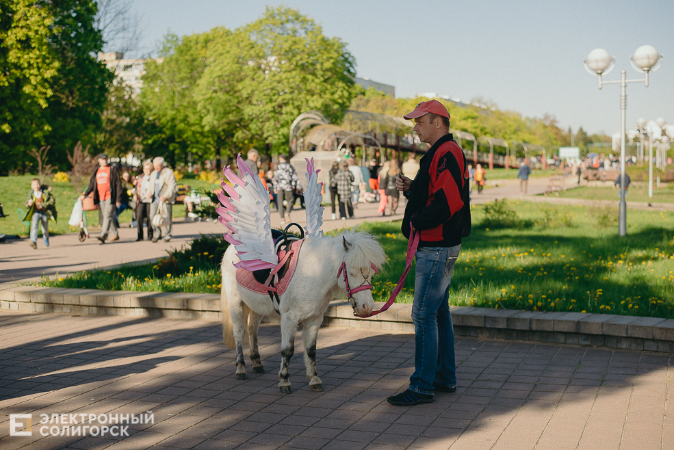 праздник 1 мая