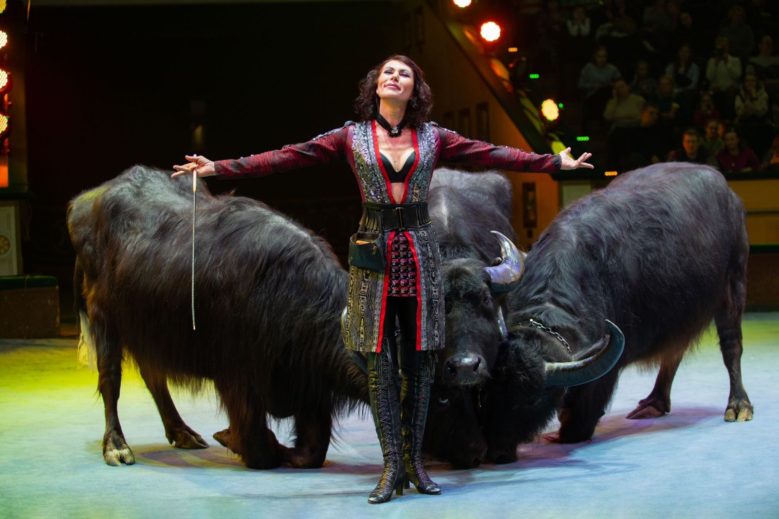 Цирк шапито солигорск