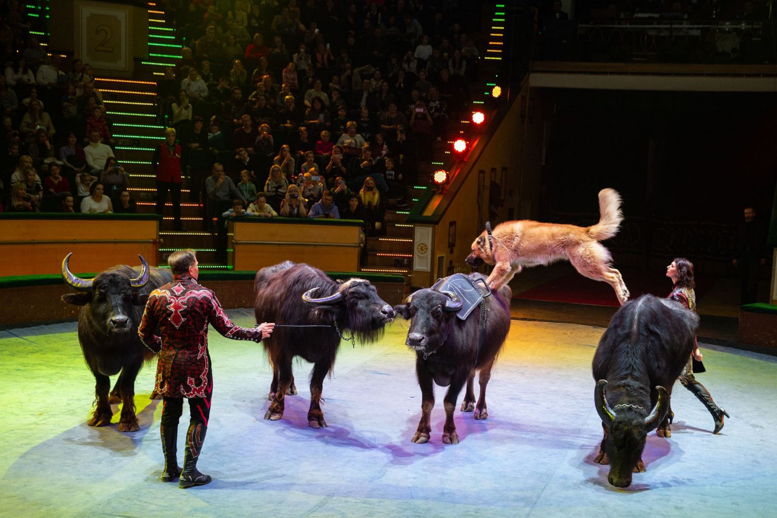 цирк в Солигорске