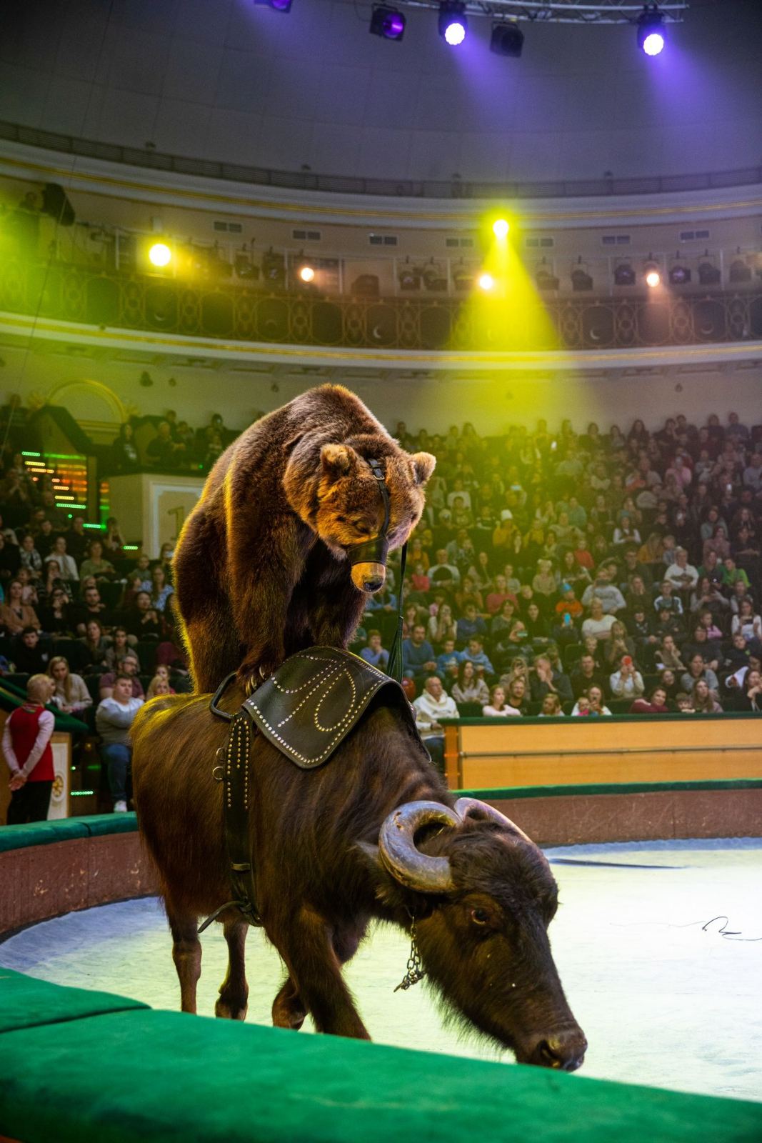 цирк в Солигорске