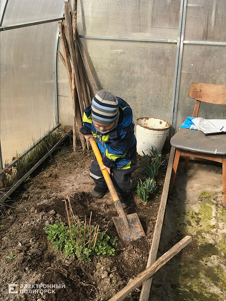 правильные продукты в солигорске