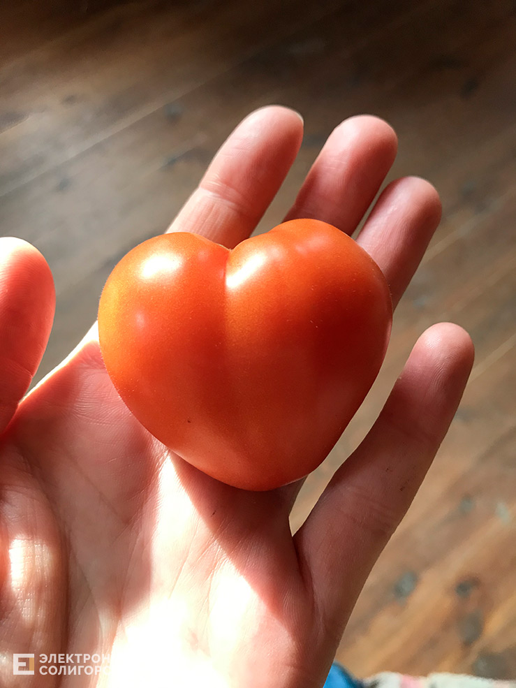правильное питание в солигорске