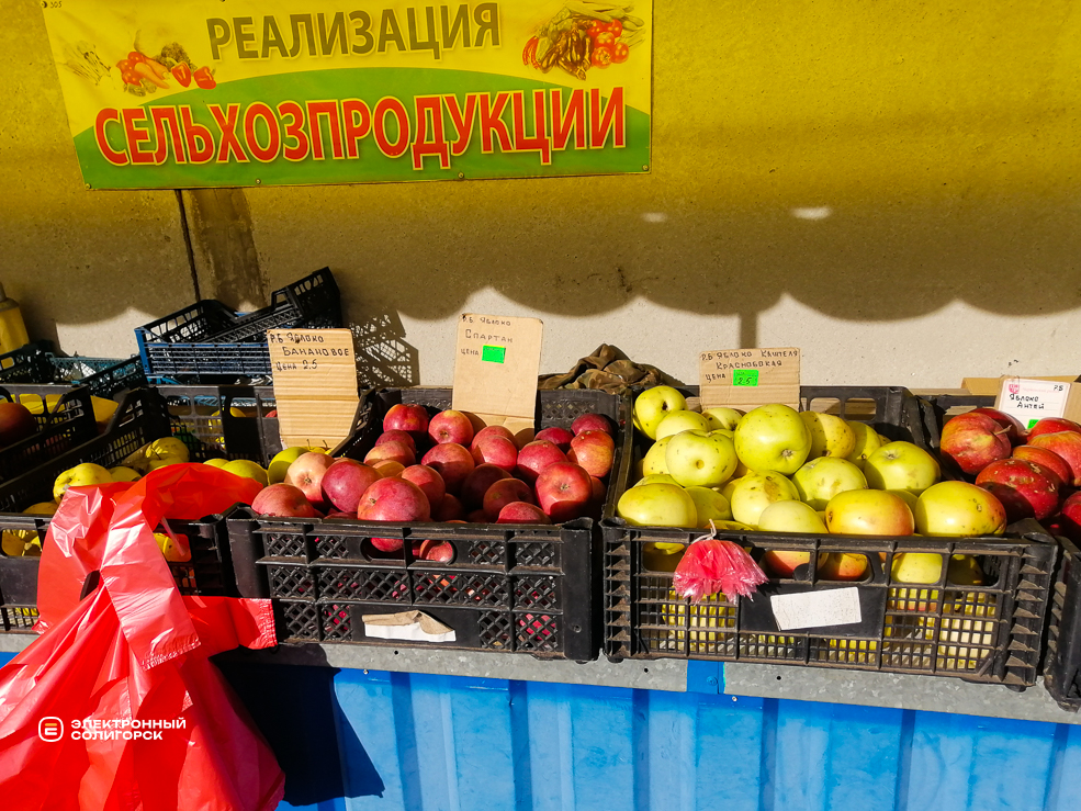 Что и почём на рынке в Солигорске