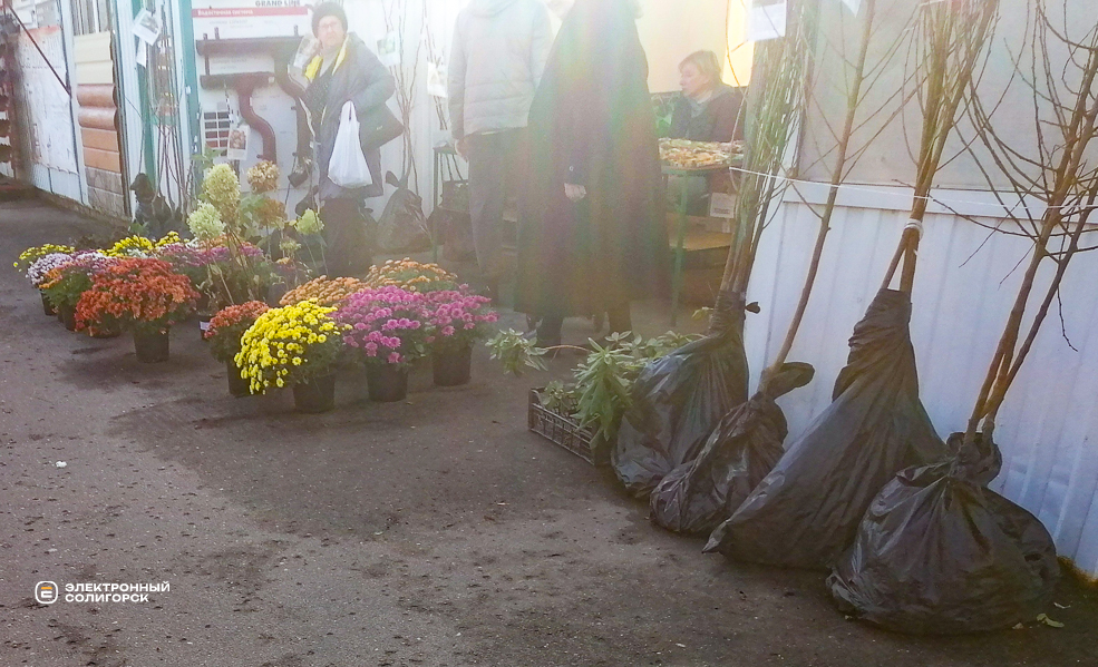 Что и почём на рынке в Солигорске