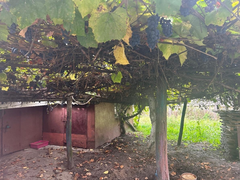 Продажа недорогих домов в Солигорском районе