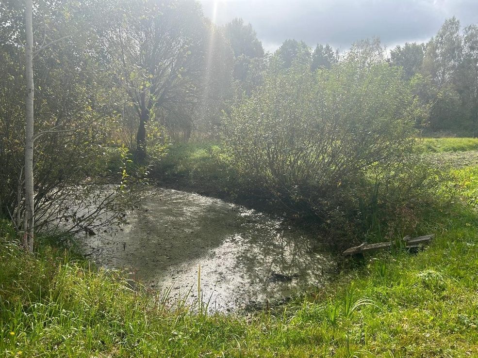 Продажа недорогих домов в Солигорском районе