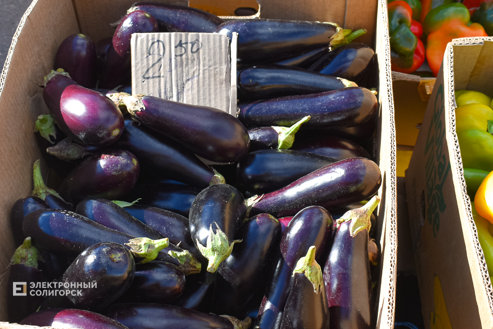 Что почём на солигорском рынке