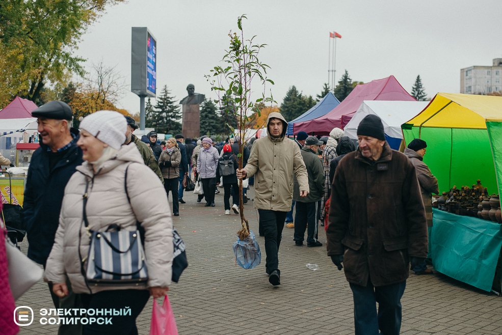 осенняя ярмарка 2023