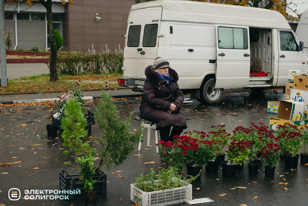 осенняя ярмарка 2023