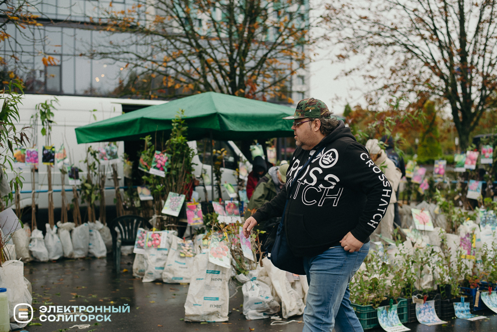 осенняя ярмарка 2023