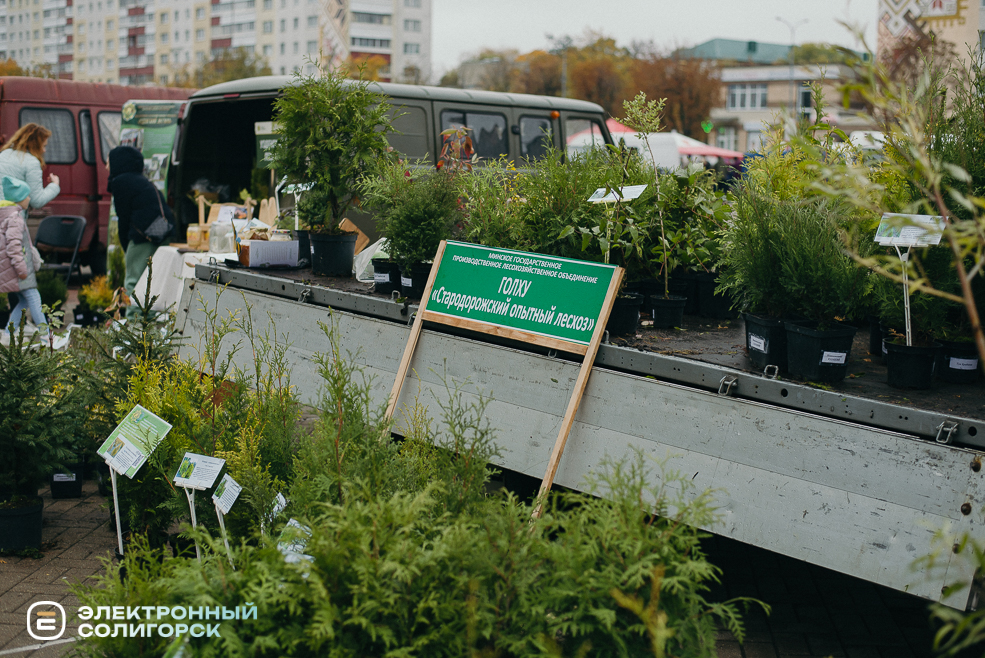 осенняя ярмарка 2023