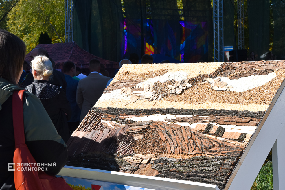 Дожинки 2023 в Солигорске