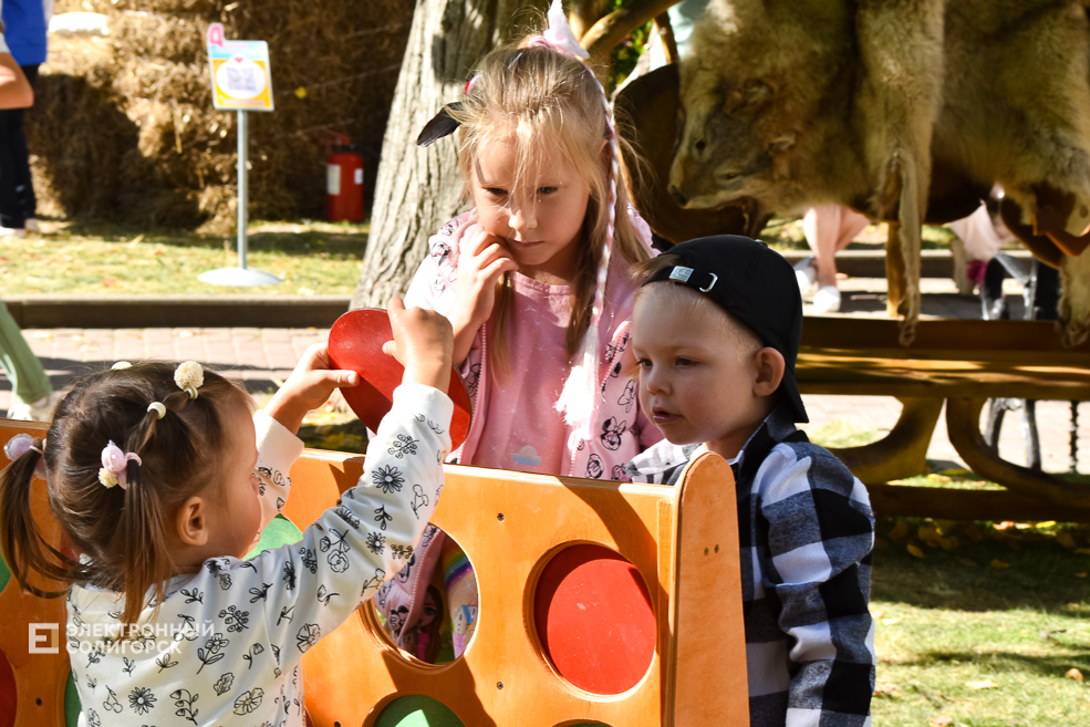 Дожинки 2023 в Солигорске