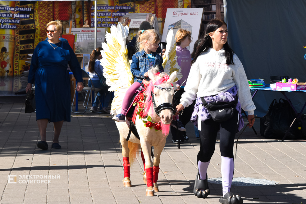 Дожинки 2023 в Солигорске