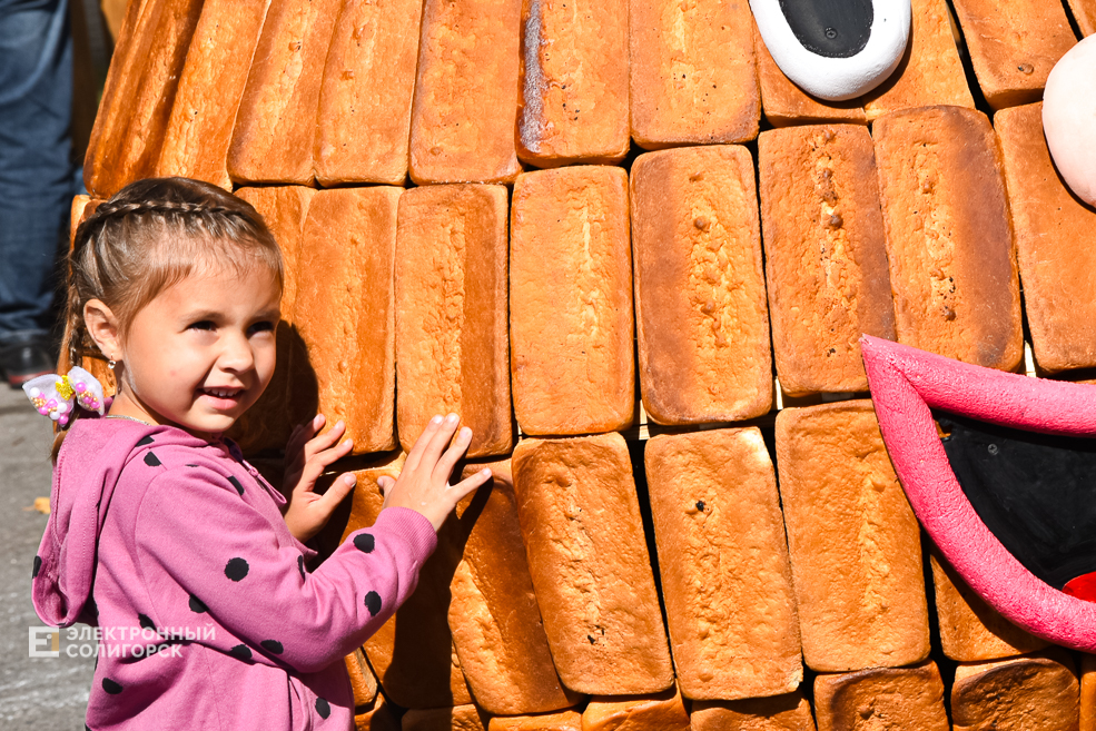 Дожинки 2023 в Солигорске