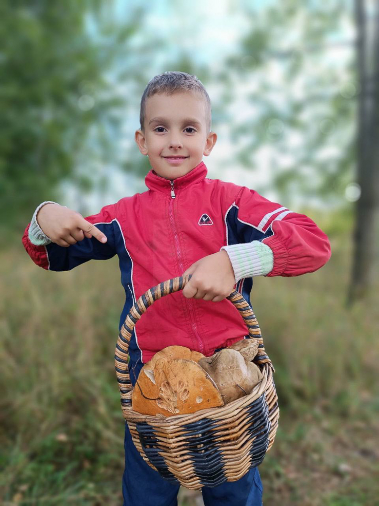 Есть ли в лесу грибы