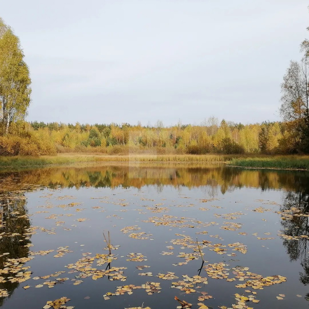 Озеро Хвойня Солигорский район