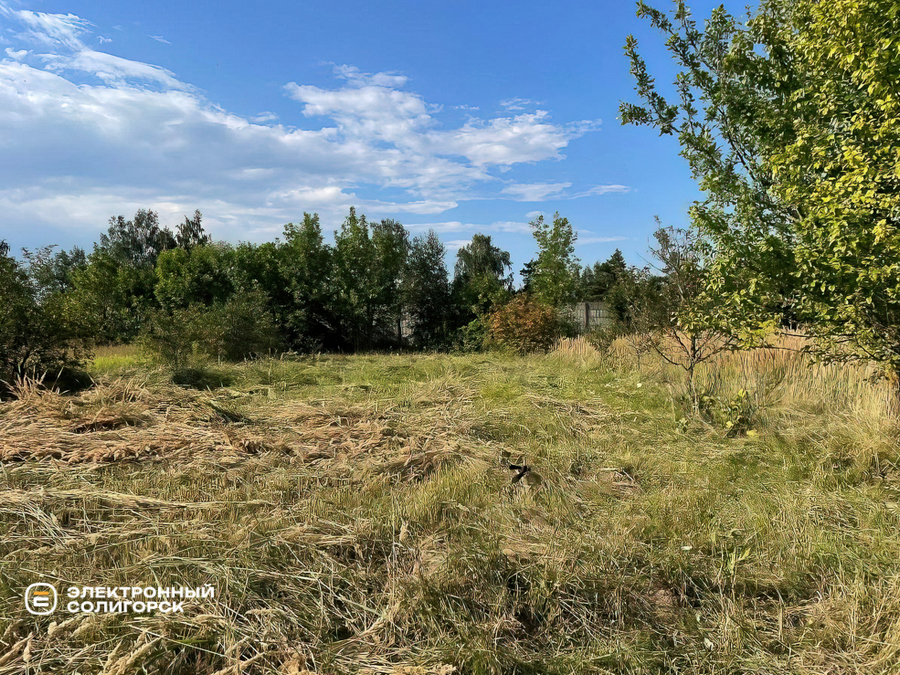 Купить дачу в Солигорском районе