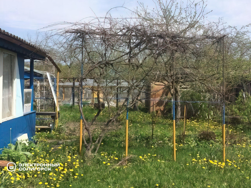 Купить дачу в Солигорском районе