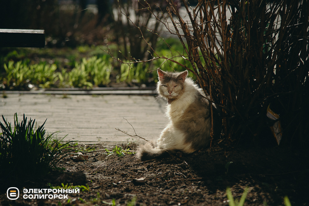 теплые выходные