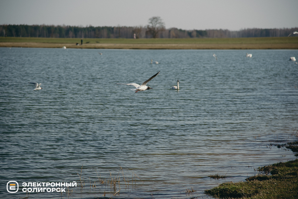 теплые выходные