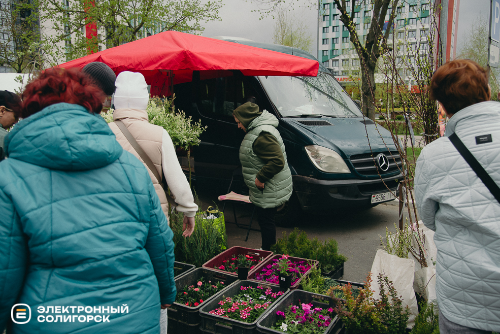 ярмарка весна 2024