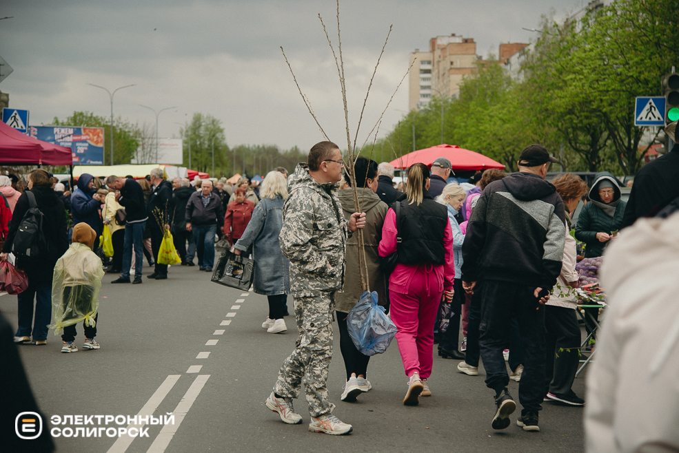 ярмарка весна 2024