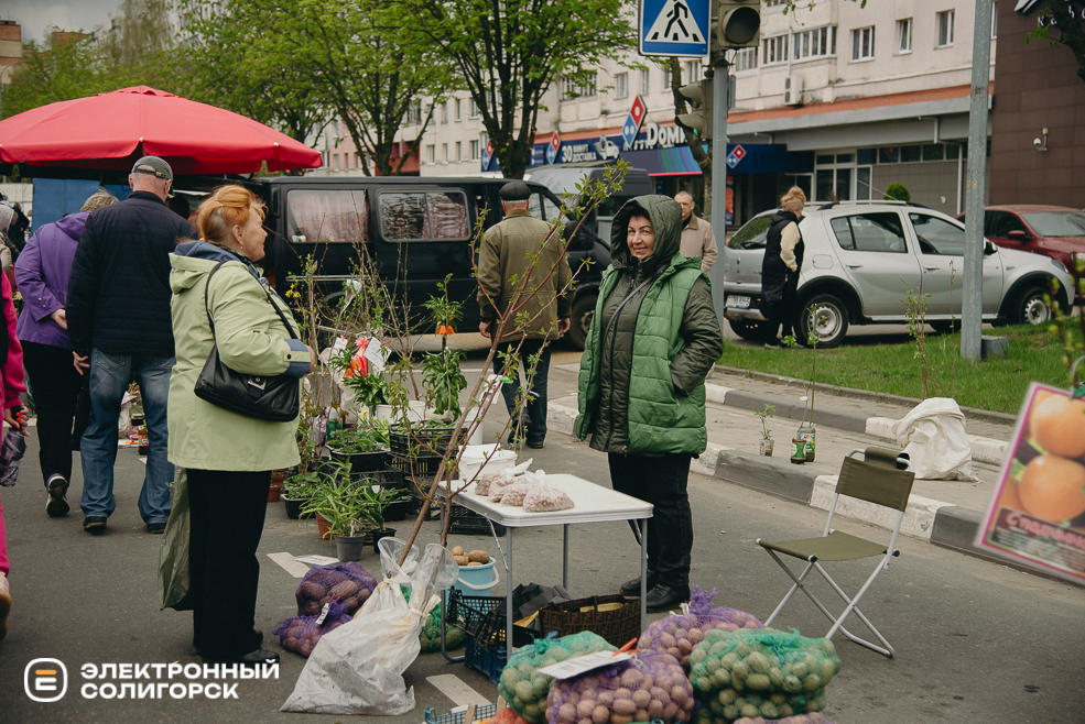 ярмарка весна 2024