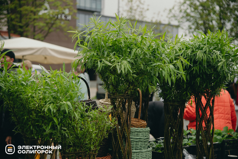 ярмарка весна 2024