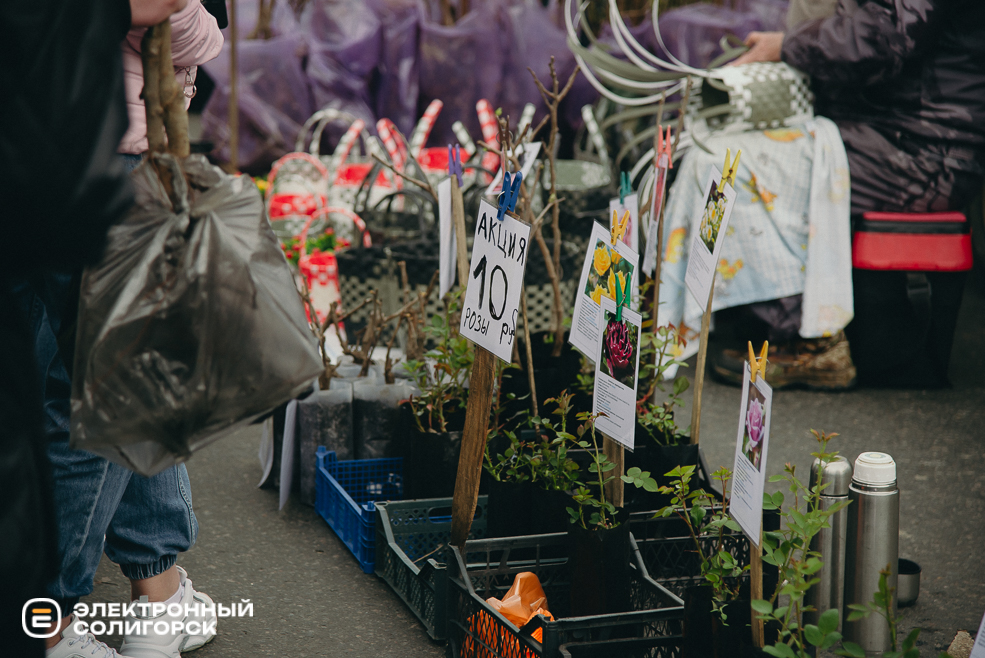 ярмарка весна 2024