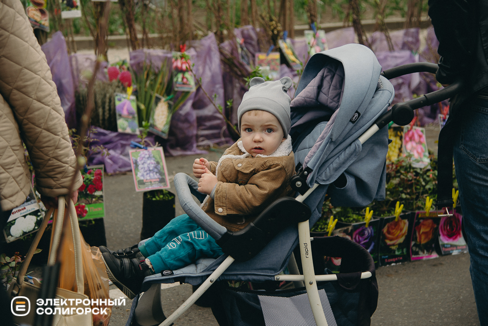 ярмарка весна 2024