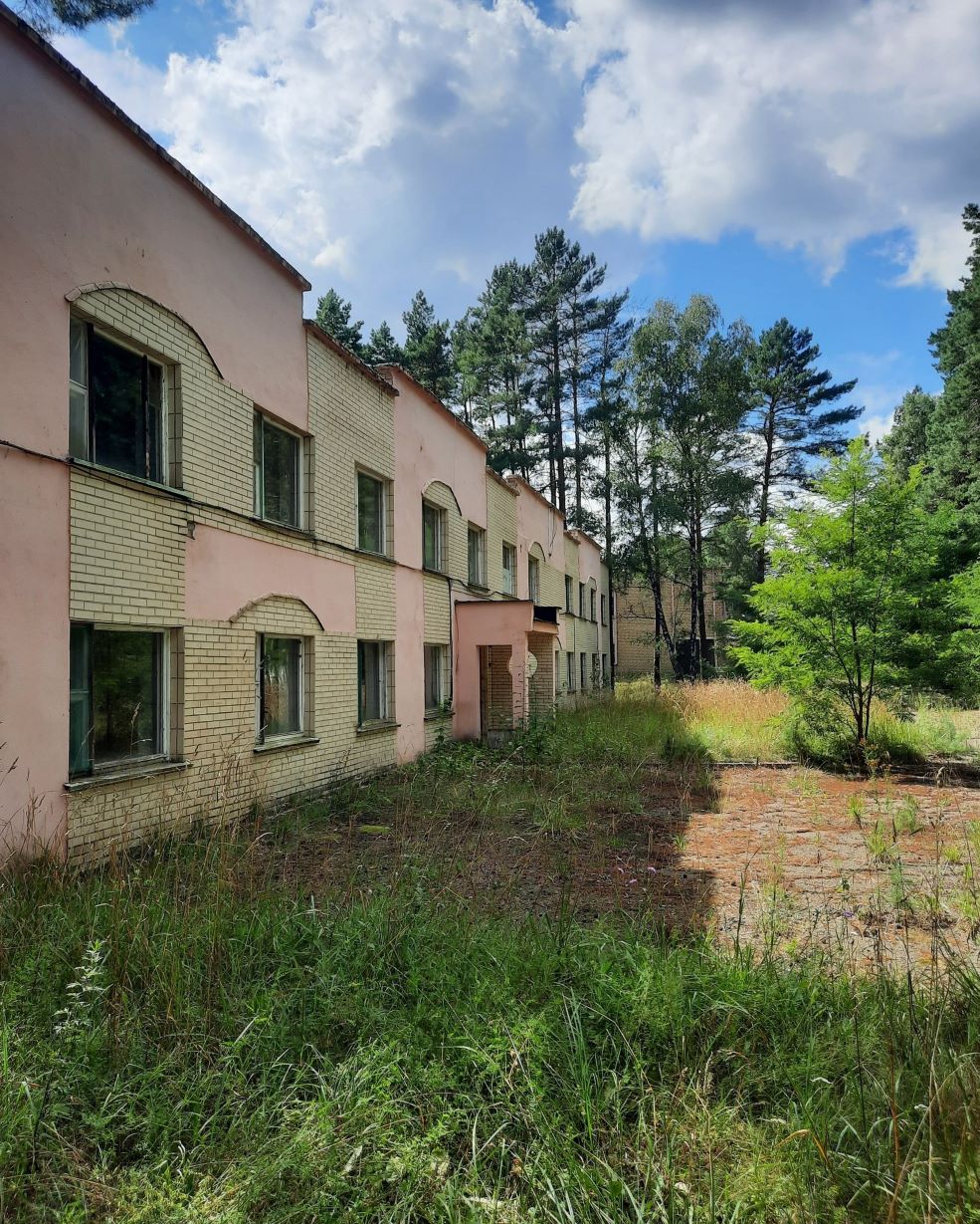 зеленый бор солигорск