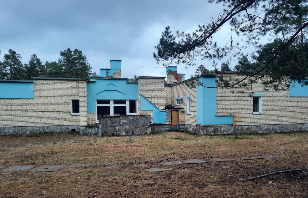 зеленый бор солигорск