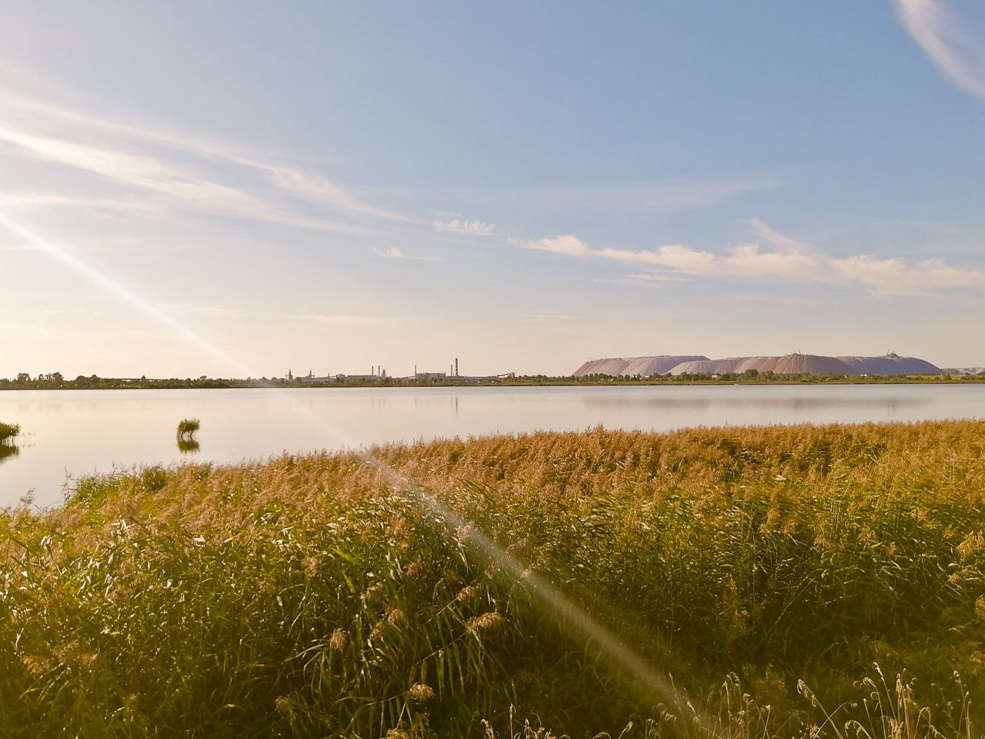 Луговое придорожные кафе и магазины в Солигорском районе