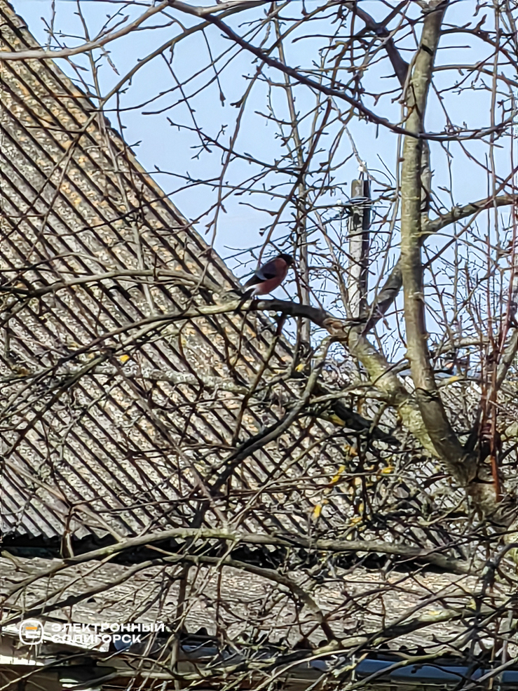 Дачи Солигорского района