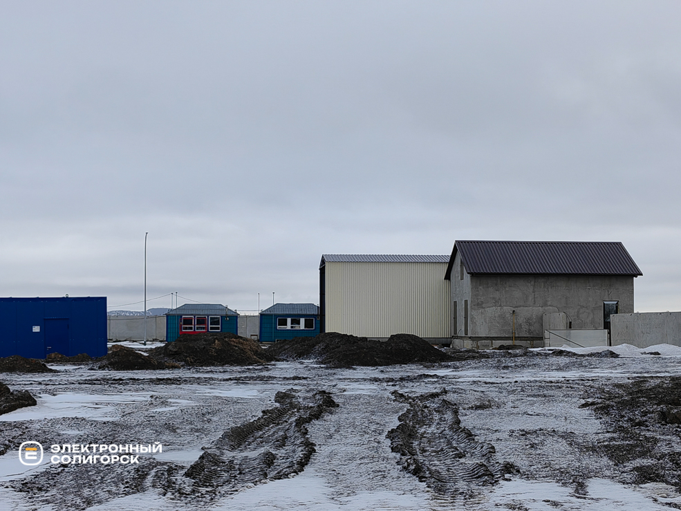 Перепелиная ферма Солигорский район